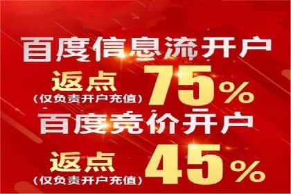 SEM竞价代运营公司经典案例解析